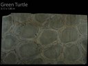 GREEN TURTLE CALL 0422 104 588 ABOUT THIS MATERIAL